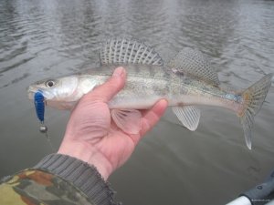 IMG_2126.JPG