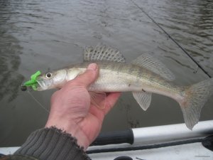 IMG_2129.JPG