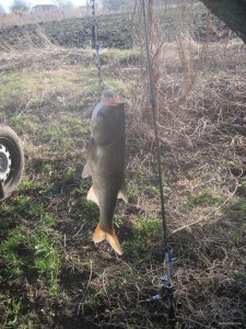 IMG_2131.JPG