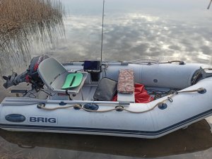 IMG_20200309_072717.jpg