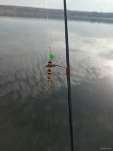IMG_20200309_082541.jpg