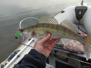 IMG_20200309_144133.jpg