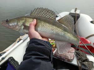 IMG_20200309_121309.jpg