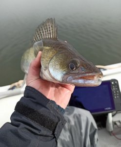 IMG_20200309_221549.jpg