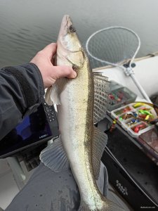 IMG_20200309_121120.jpg