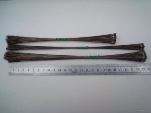 DSCN3597.JPG