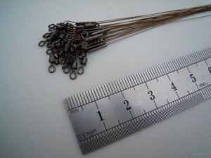 DSCN3600.JPG