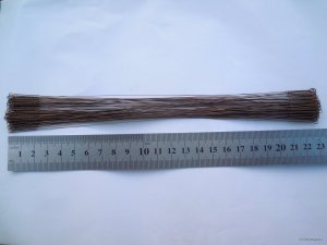 DSCN3259.JPG