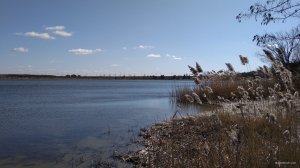 IMG_20200312_121540.jpg