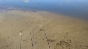 IMG_20200312_121652.jpg