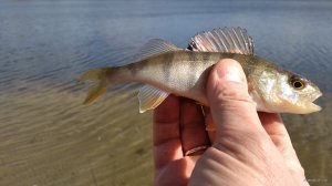 IMG_20200312_111512.jpg