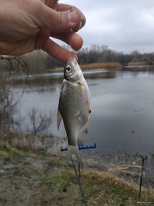 IMG_20200314_093413.jpg