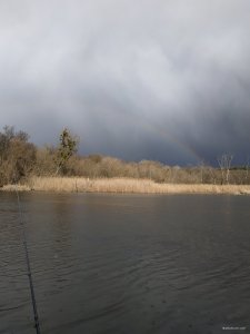 IMG_20200314_150259.jpg