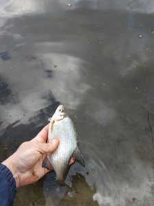 IMG_20200314_151139.jpg