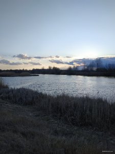 IMG_20200314_165317.jpg