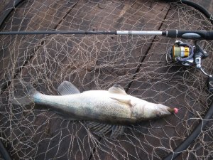 IMG_2136.JPG
