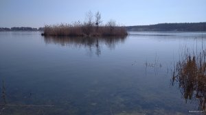 IMG_20200318_113431_1.jpg