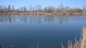 IMG_20200318_104826_1.jpg