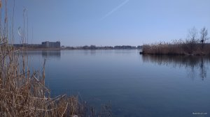 IMG_20200318_113439.jpg