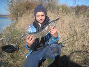 IMG_2198.JPG