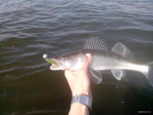 IMG_20200319_132407_small.jpg