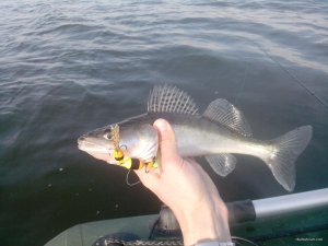 IMG_20200319_143154_small.jpg