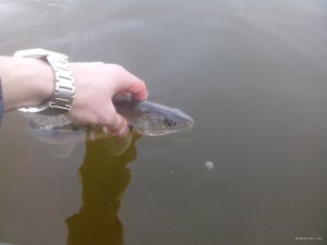 IMG_20200319_141442_small.jpg
