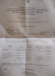 IMG_20200320_155620258.jpg