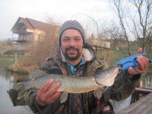 IMG_2202.JPG
