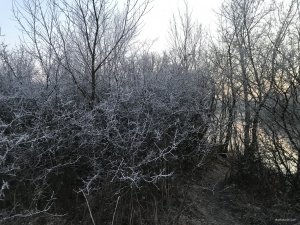 D76E77BC-A23B-4A93-BAD3-B424F7D495A7.jpeg