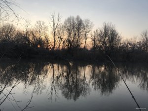 A79C5F9F-F2CF-49E4-A09C-65A1500B357E.jpeg