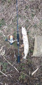 IMG_20200321_145514.jpg