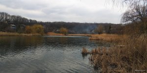 IMG_20200321_115400.jpg