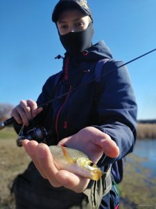 IMG_20200321_172815.jpg