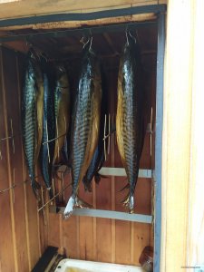 IMG_20190803_144724.jpg