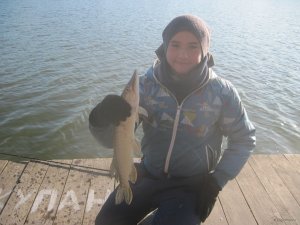 IMG_2232.JPG