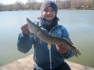 IMG_2260.JPG