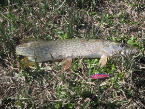 IMG_2275.JPG