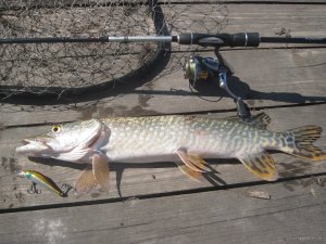 IMG_2290.JPG