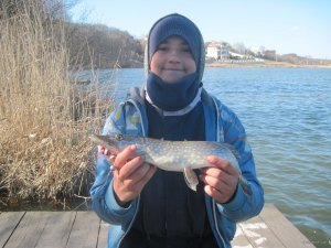 IMG_2291.JPG