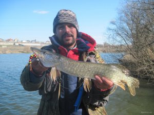 IMG_2295.JPG