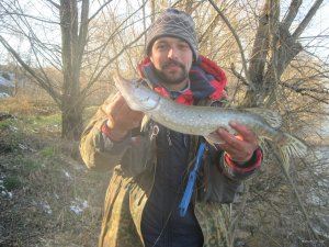 IMG_2305.JPG