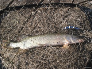IMG_2309.JPG