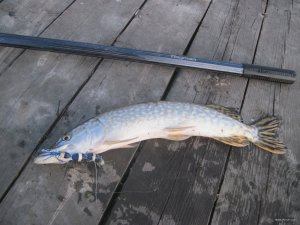 IMG_2324.JPG