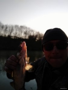 IMG_20200325_171342.jpg