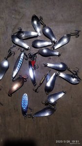 IMG_20200326_195102.jpg