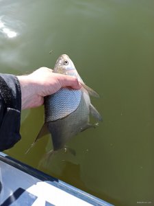 IMG_20200327_124726.jpg