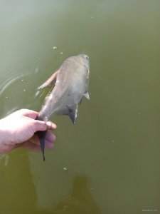 IMG_20200327_124730.jpg