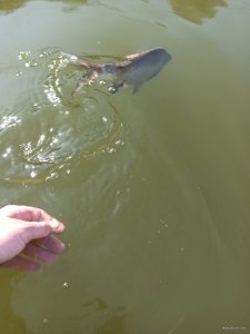 IMG_20200327_124731.jpg