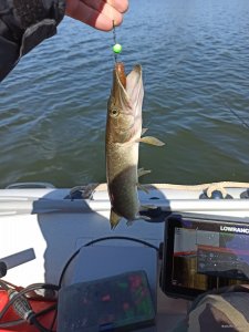 IMG_20200327_123413.jpg